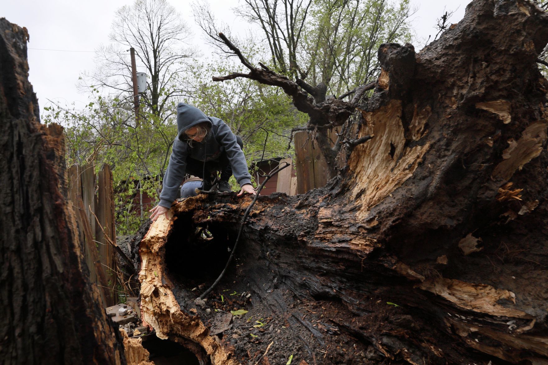 Storm damage from strong winds in St. Louis